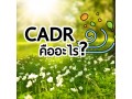 ค่า CADR คืออะไร และปริมาณไหนถึงจะเหมาะสมกับห้องคุณ