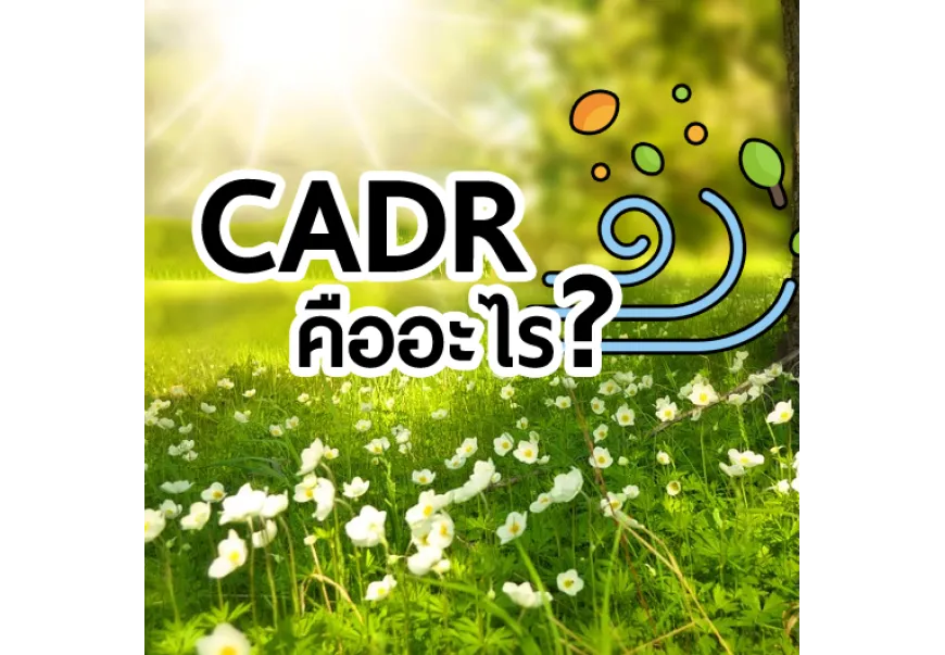 ค่า CADR คืออะไร และปริมาณไหนถึงจะเหมาะสมกับห้องคุณ