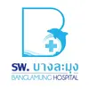 รพ.บางละมุง logo
