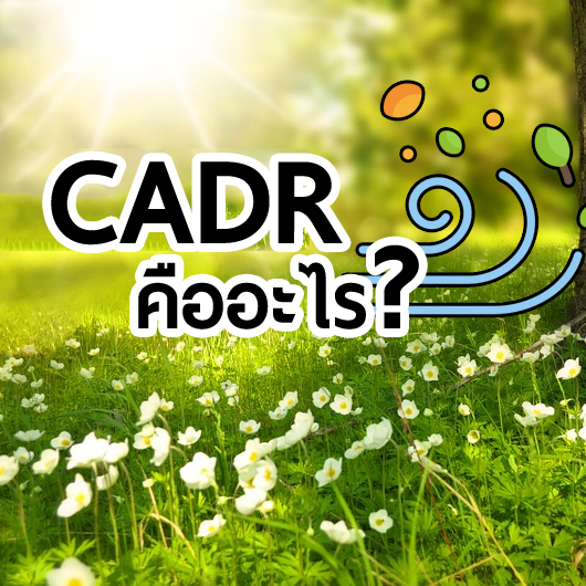 ค่า CADR คืออะไร และปริมาณไหนถึงจะเหมาะสมกับห้องคุณ